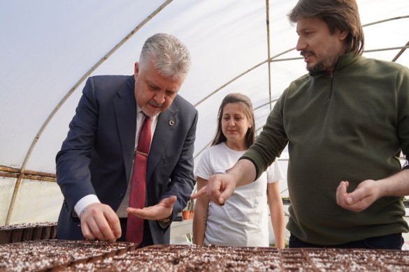 5 bin adet atalık tohum toprakla buluşacak!