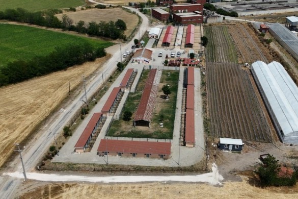 Can dostların yaşam alanları büyütülüyor