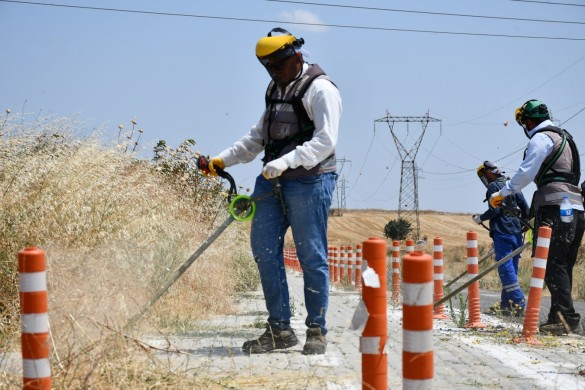 Lüleburgaz Belediyesi çalışmalarda vites yükseltti! “183 futbol sahası büyüklüğünde alanda ot biçimi” “80 bin adet çiçek” “430 bin metrekarelik peyzajda bakım”