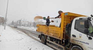 Buzlanmaya karşı önlem alındı