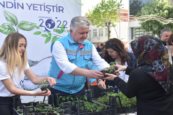 10 bin adet fide halka dağıtıldı!