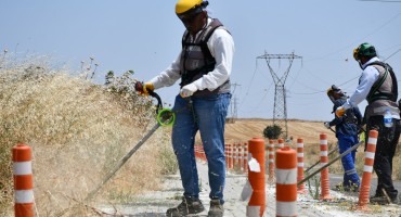 Lüleburgaz Belediyesi çalışmalarda vites yükseltti! “183 futbol sahası büyüklüğünde alanda ot biçimi” “80 bin adet çiçek” “430 bin metrekarelik peyzajda bakım”