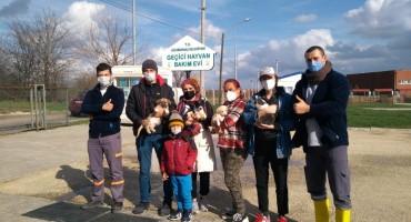 Can dostlar yeni yuvalarına kavuştu